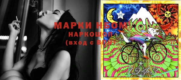 твердый Медногорск