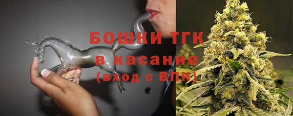твердый Медногорск
