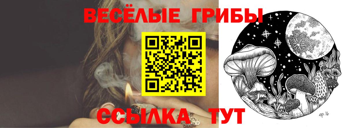 Галлюциногенные грибы Magic Shrooms Черемхово